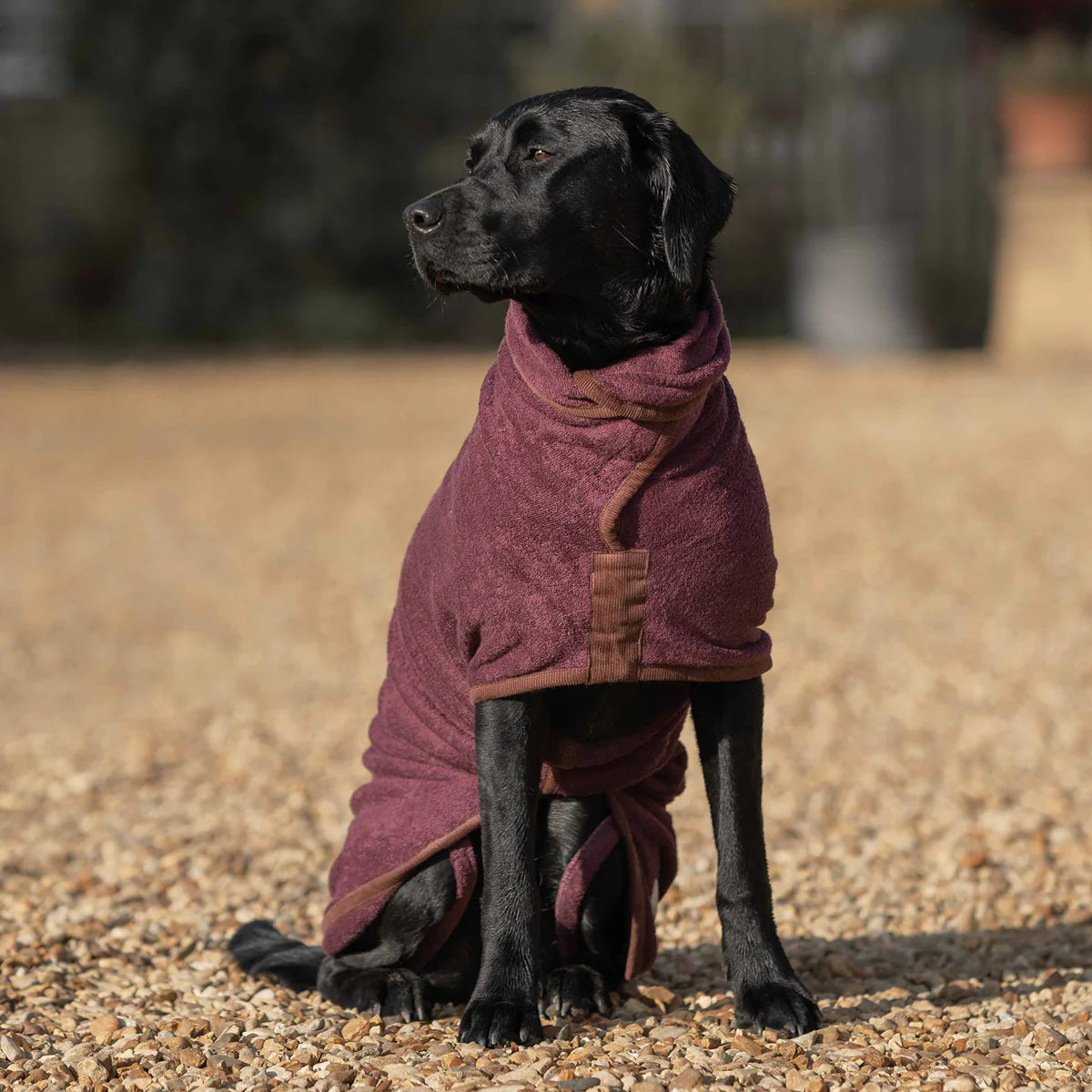 Dog drying coat Burgundy